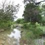 Storm Ranch