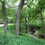 Davis Park