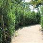 Seabrook Hike & Bike Trails