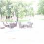Cottonwood Terrace