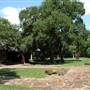 Palmetto State Park