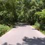 Palmetto State Park