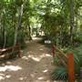 Palmetto State Park