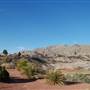 Tom Lea Upper Park