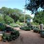 Hill Country Water Gardens & Nursery