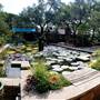 Hill Country Water Gardens & Nursery