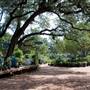 Hill Country Water Gardens & Nursery