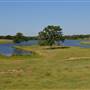 Colorado River Ranch