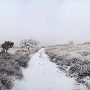 Mendota Ranch