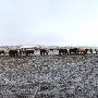 Mendota Ranch