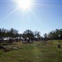 Manor City Cemetery
