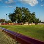Tiger Stadium