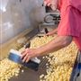 Hico Popcorn Works
