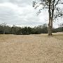 Hyatt Regency Lost Pines Resort & Spa - Wolfdancer Golf Club