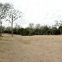 Hyatt Regency Lost Pines Resort & Spa - Wolfdancer Golf Club