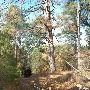 McKinney Roughs Nature Park