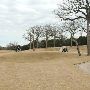 Hyatt Regency Lost Pines Resort & Spa - Wolfdancer Golf Club