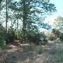 McKinney Roughs Nature Park