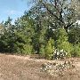 McKinney Roughs Nature Park