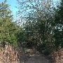 McKinney Roughs Nature Park