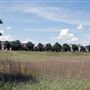 Mueller Lake Park