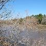 Buescher State Park