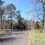 Buescher State Park