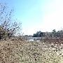 Buescher State Park