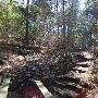 Buescher State Park