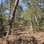 Buescher State Park