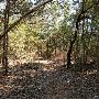 Buescher State Park