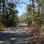 Buescher State Park