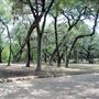 Olmos Basin