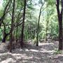 Judson Nature Trails