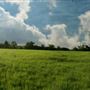 The Flying H Ranch