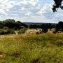Lost Springs Ranch