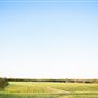 Two Wishes Ranch