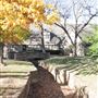 Mineral Wells Churches