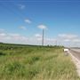 Cotton Fields on FM 1223