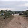 Texas Hill Country Olive Company