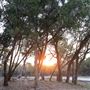 The Cedars Ranch