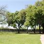 Reverchon Park