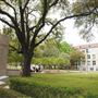 Texas Christian University