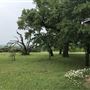 Obregon Ranch