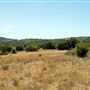 Old Ponderosa Ranch