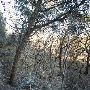 Milton Reimers Ranch County Park