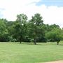 Wildcat Golf Course