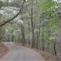 Davey Dogwood Park