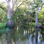Wimberley Getaways - Messina Inn