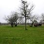 Comanche Country Ranch & Event Venue
